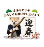 名入れ☆癒し柴犬の毎年使える年賀状（個別スタンプ：16）