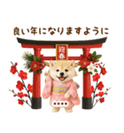 名入れ☆癒し柴犬の毎年使える年賀状（個別スタンプ：17）