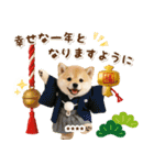 名入れ☆癒し柴犬の毎年使える年賀状（個別スタンプ：18）