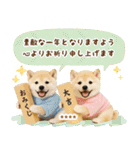 名入れ☆癒し柴犬の毎年使える年賀状（個別スタンプ：20）