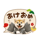 名入れ☆癒し柴犬の毎年使える年賀状（個別スタンプ：21）