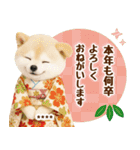 名入れ☆癒し柴犬の毎年使える年賀状（個別スタンプ：27）