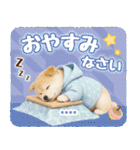 名入れ☆癒し柴犬の毎年使える年賀状（個別スタンプ：30）