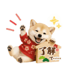 名入れ☆癒し柴犬の毎年使える年賀状（個別スタンプ：31）