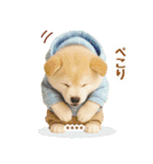 名入れ☆癒し柴犬の毎年使える年賀状（個別スタンプ：32）