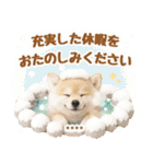 名入れ☆癒し柴犬の毎年使える年賀状（個別スタンプ：40）