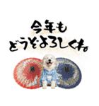 グレートピレニーズ♡お正月スタンプ（個別スタンプ：9）