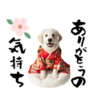 グレートピレニーズ♡お正月スタンプ（個別スタンプ：13）