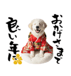 グレートピレニーズ♡お正月スタンプ（個別スタンプ：15）