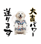 グレートピレニーズ♡お正月スタンプ（個別スタンプ：19）
