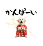 グレートピレニーズ♡お正月スタンプ（個別スタンプ：22）