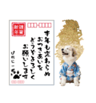 グレートピレニーズ♡お正月スタンプ（個別スタンプ：25）