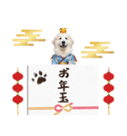 グレートピレニーズ♡お正月スタンプ（個別スタンプ：26）