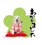 グレートピレニーズ♡お正月スタンプ（個別スタンプ：31）
