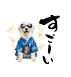 グレートピレニーズ♡お正月スタンプ（個別スタンプ：32）