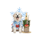 グレートピレニーズ♡お正月スタンプ（個別スタンプ：38）