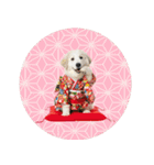 グレートピレニーズ♡お正月スタンプ（個別スタンプ：40）