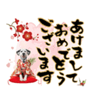 ダルメシアン子犬！いっぱいお正月スタンプ（個別スタンプ：1）