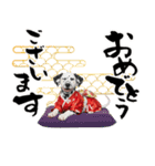 ダルメシアン子犬！いっぱいお正月スタンプ（個別スタンプ：3）