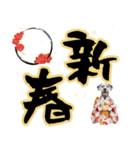 ダルメシアン子犬！いっぱいお正月スタンプ（個別スタンプ：7）