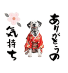 ダルメシアン子犬！いっぱいお正月スタンプ（個別スタンプ：13）
