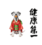 ダルメシアン子犬！いっぱいお正月スタンプ（個別スタンプ：17）