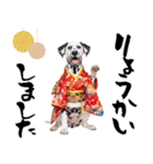 ダルメシアン子犬！いっぱいお正月スタンプ（個別スタンプ：20）