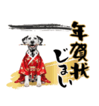 ダルメシアン子犬！いっぱいお正月スタンプ（個別スタンプ：24）