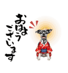 ダルメシアン子犬！いっぱいお正月スタンプ（個別スタンプ：28）