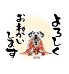 ダルメシアン子犬！いっぱいお正月スタンプ（個別スタンプ：29）