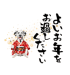 ダルメシアン子犬！いっぱいお正月スタンプ（個別スタンプ：30）