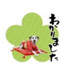 ダルメシアン子犬！いっぱいお正月スタンプ（個別スタンプ：31）