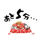 ダルメシアン子犬！いっぱいお正月スタンプ（個別スタンプ：36）