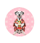 ダルメシアン子犬！いっぱいお正月スタンプ（個別スタンプ：40）