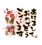 パピヨン子犬！華やかお正月スタンプ（個別スタンプ：1）