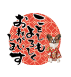 パピヨン子犬！華やかお正月スタンプ（個別スタンプ：2）