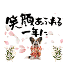 パピヨン子犬！華やかお正月スタンプ（個別スタンプ：10）