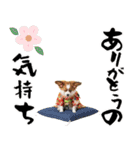 パピヨン子犬！華やかお正月スタンプ（個別スタンプ：13）