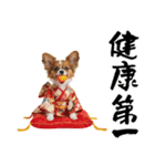 パピヨン子犬！華やかお正月スタンプ（個別スタンプ：17）
