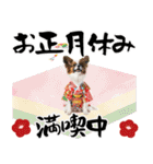 パピヨン子犬！華やかお正月スタンプ（個別スタンプ：23）