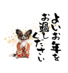 パピヨン子犬！華やかお正月スタンプ（個別スタンプ：30）