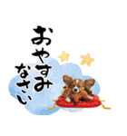 パピヨン子犬！華やかお正月スタンプ（個別スタンプ：34）