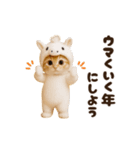 ねこの年末年始＆あけおめ♡2026（個別スタンプ：5）