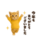 ねこの年末年始＆あけおめ♡2026（個別スタンプ：12）