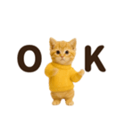 ねこの年末年始＆あけおめ♡2026（個別スタンプ：17）