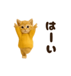 ねこの年末年始＆あけおめ♡2026（個別スタンプ：18）