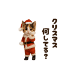 ねこの年末年始＆あけおめ♡2026（個別スタンプ：22）
