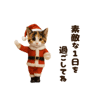 ねこの年末年始＆あけおめ♡2026（個別スタンプ：23）