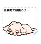 A loose and lazy dog message stamp8（個別スタンプ：8）