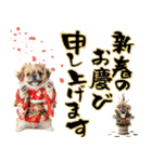 ペキニーズ！ふわもこ子犬のお正月スタンプ（個別スタンプ：6）